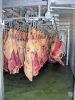 Halal cow beef carcass
