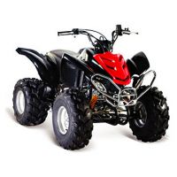 중국에 있는 Atv 110cc___from Atv 공장