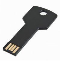 대중적인 선물 중요한 모양 Usb 섬광 드라이브/usb 2.0 Usb 섬광 드라이브