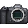 Canon EOS R6 Mirrorless Camera 