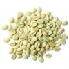 Top Selling Vietnam Green Coffee Beans Robusta Arabica Raw Coffee Beans Competitive Price for Import Ready to Ship