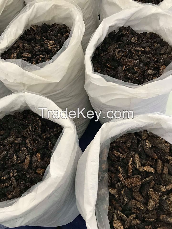 NATURAL DRIED NONI FRUIT / PLANT-BASED WELLNESS 