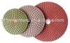 Diamond flexible polishing pad &amp; backer