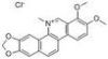 Cloride Chelerythrine