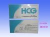 HCG 시험 카세트