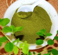 Листья порошка Moringa Oleifera