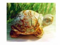 Естественная свободная каменная черепаха