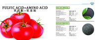 Fulvic Acid+amino 산, 아미노산은 식물 근원입니다