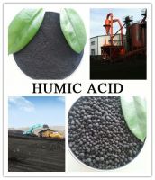 Leonardite/갈탄에서 Humic 산 분말