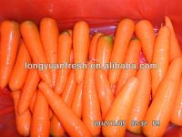 морковь фарфора
