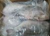 Cheap Frozen Tilapia Fillet and Frozen Tilapia Fish for sale