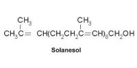 Solanesol&amp;#65288;15%-95%&amp;#65289;