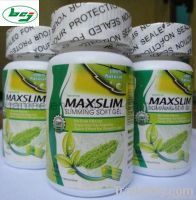 환약을 체중을 줄이는 Oem Maxslim Gmp 고유 경사 몸 규정식