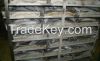 Horse Mackerel (BQF Frozen Snow and Fresh Trachurus Trachurus - Atlantic) for sale