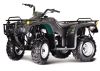 250cc резвится Atv