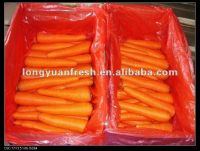 естественная оптовая морковь