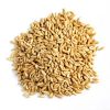Direct Supply Oat Groats for Sale from ZA Brown Dried AD Organic Cultivation