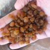 golden raisins