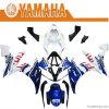 Motorcycle Fairing