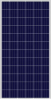 340W Poly Solar Panels