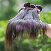 100 процентов индийских remy человеческих волос без химиката