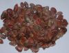 Красные семена арбуза
