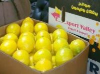 Свежие желтые и зеленые лимоны