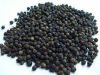 Buy Whole Black Pepper