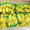 CHEAP PRICE FRESH ORGANIC CAVENDISH BANANA