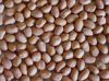 Стержени HSUJI 35/40 Groundnut надувательства для Alger