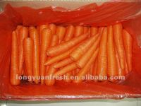 морковь фарфора 316