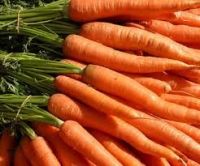 Свежие морко...