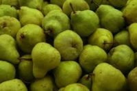 Fresh Pears ...