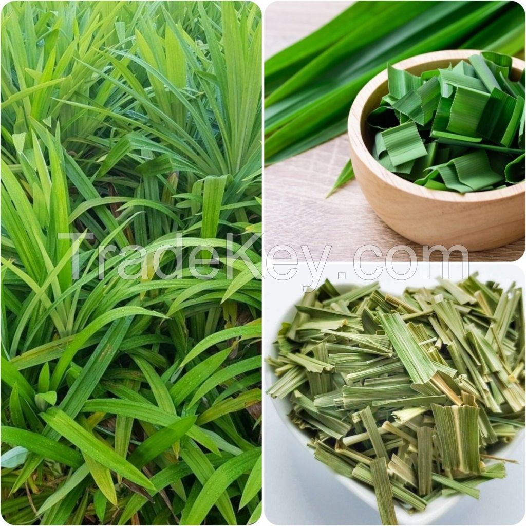PREMIUM FROZEN PANDAN JUICE / 100% NATURAL / READY TO USE FOR DESSERTS AND BEVERAGE PRODUCTION