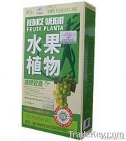 Fruta Planta 체중 감소 환약