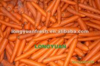 консигнант моркови фарфора