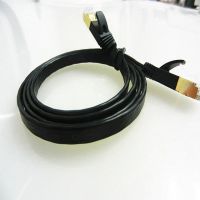 고품질 Amp Utp Cat6 네트워크 케이블 24awg