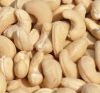  CASHEW NUTS