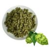Factory Supply Natural Alpha Acids CAS 25522-96-7 Ã¢ï¿½ï¿½ Hops Flower Extract for Brewing and Food Applications