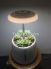 home decoration smart garden green pet