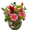 Splendor Surprise | Boynton Beach Florists