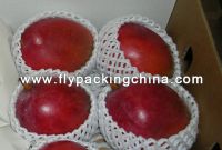 Двойная сеть пены плодоовощ (манго упаковки)