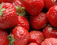 Stawberries (свеже или замороженно)
