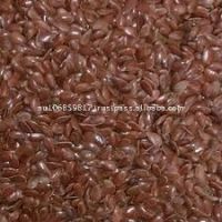 Oil Seed Linsee