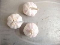 свежий 2011 чеснок китайца 5.0cm урожая нормальный белый