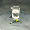Mono Propylene Glycol Price Propylene Glycol Liquid PG 99.9% CAS 57-55-6 Skin Care Cosmetics Ingredients Chemical Raw Material