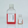 Wholesale Analytical Chemical Reagents 99.90% 250g Boric Acid for Preparing Buffer Solutions and Culture Media