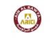 ain al rawya internationl and trading investment