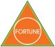 ***** FORTUNE HOLDING & TRADING, S.A.S.