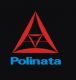 Ningbo Polinata Electronics Co., Ltd.